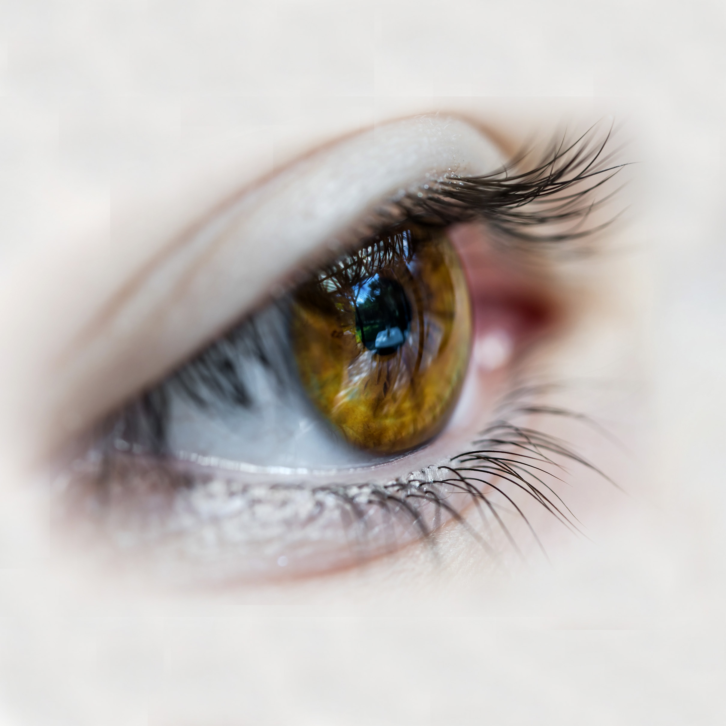 Eye Movement Desensitization and Reprocessing, Photo by Patrick Brinksma on Unsplash